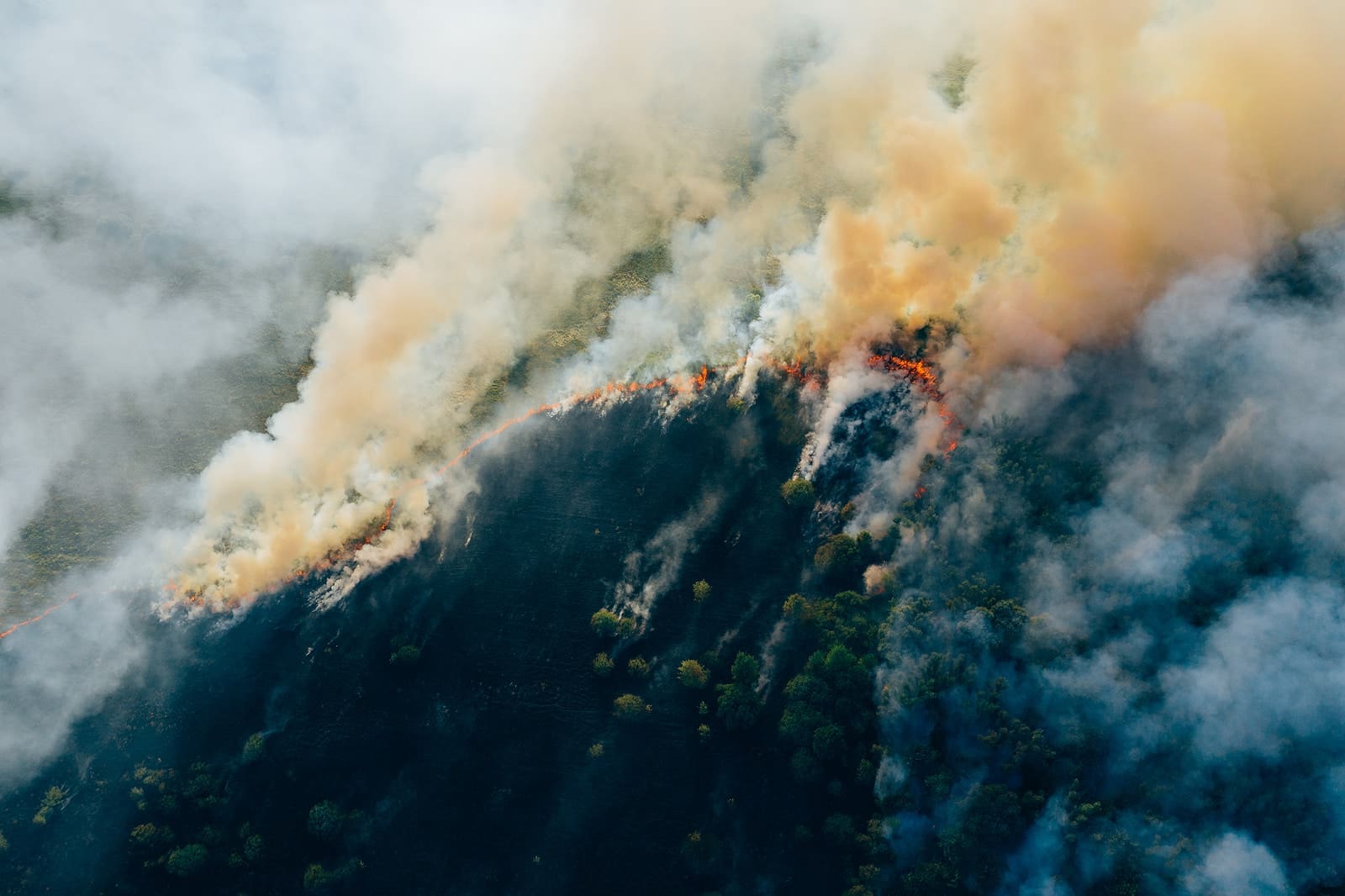 Utah Declares State of Emergency Amid Unprecedented Wildfire Crisis and Historic Weather Warnings