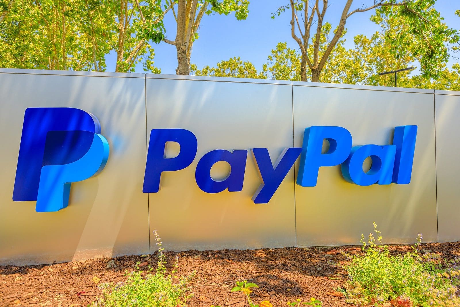 PayPal Faces New Probe Amid Shareholder Lawsuits